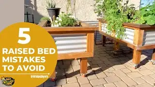 5 Raised Bed Garden Mistakes to Avoid