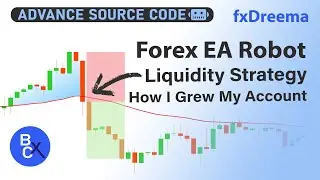 How to build a forex EA Robot - The TRUE Liquidity Breakout Strategy for 90% Accuracy💸💸💸