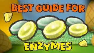 THE BEST GUIDE FOR ENZYMES IN BEE SWARM SIMULATOR...