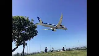 Lax part 3#lax #planes #planespotting