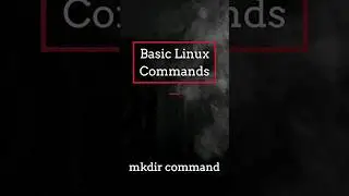Basic Linux Commands for Beginners | Important Linux Commands 