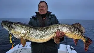 PrzewodnicyWedkarscy.pl Mateusz Kalkowski i Adam Wójcik - Rugia 🎣🎣🎣