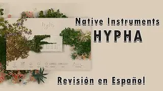 ⚡Native Instruments Hypha⚡ -Revisión en Español-