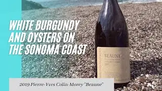 Amazing Oyster Wine Pairing! White Burgundy Wine Review on the Sonoma Coast