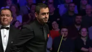 Ronnie O'Sullivan killed Bug and Feel bad about it after   Funny Moment