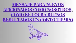 MENSAJE PARA NUEVOS AFICIONADOS COMO NOSOTROS, COMO SE LOGRA BUENOS RESULTADOS EN CORTO TIEMPO