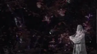 Skeleton Screen - Critical Decay