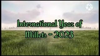 International Year of Millets - 2023 (School Project)