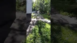 31 июля 2020 г.