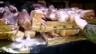 Павлодарда піскен нан арасында өріп жүрген тышқандардың видеосы жұрттың ашуын тудырды