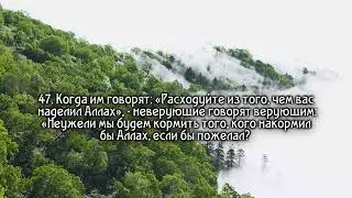 Сура Ясин грустное чтение Корана. Сура «Ясин» помогает решить проблемы?