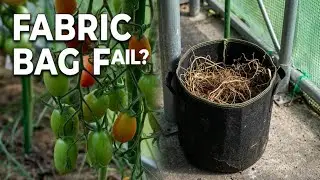 Why not to use fabric grow bags?