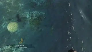 Stranded Deep