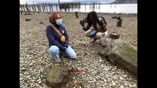 Marine Biologist Beachwalk March 6