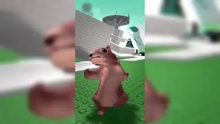 Dancing Squirrel // Roblox Dream