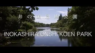 井の頭恩賜公園（井の頭公園） Inokashira onshi koen park  -Canon 5D Mark III RAW Video-