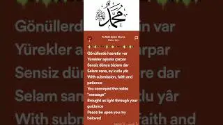 Ya Nabi Salam Alayka (Maher Zain) #music #perfect #lyric #maherzain #ramazonmuborak#bestmusic