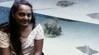 Second biggest aquarium -USA| World's Biggest aquarium|Finding Seas with Nemo & Friends|Disney Epcot