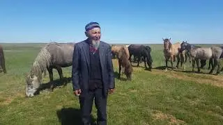 Көктем