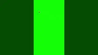Duck Running Around (Green Screen Memes) 🟢