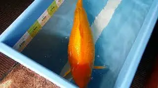 17 June 2018