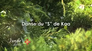 Danse du S de Kaa