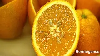Hermógenes