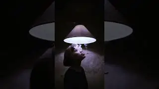 𝙢𝙚𝙢𝙚𝙣𝙩𝙤 𝙢𝙤𝙧𝙞🖤