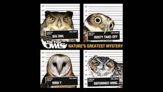 The Four Owls - Much too much (Ft. Dirty Dike)