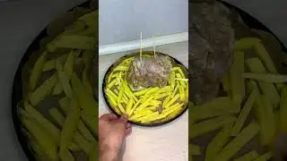 Домашняя шаурма 
