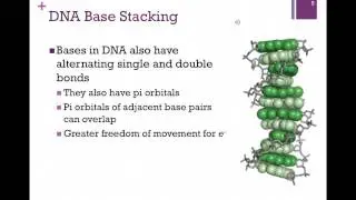 154-Structure & Stability of DNA