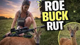 Roe Buck Rut