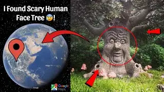I Found Scary Human Face Tree Caught On Google Earth 😰!