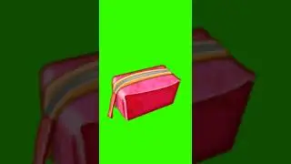 Pouch green screen no copyright 