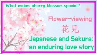 How cherry blossom became the most beloved flower in Japan? origin of Hanami and Sakura (Part 1)