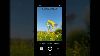 Flower Shoot 🌻 #photoediting #photography #shorts #youtubeshorts #viral #short #pendu