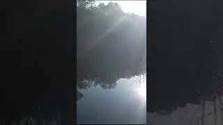 Relax. Morning in nature.