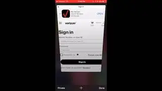 iPhone Safari Cellular Data Issue