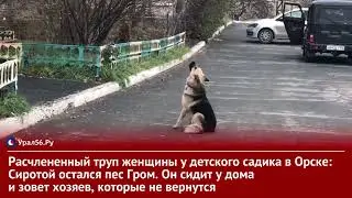 Расчлененный труп женщины у детского садика в Орске: Что известно к этому часу?