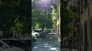 Walking Via della Rosa to Corso Garibaldi | Historic Centre of Lucca, Italy 🇮🇹🇪🇺 | Travel #shorts