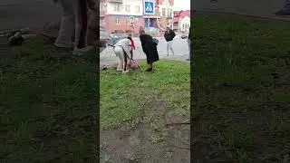 Тверь интересно