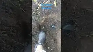 скоро новое выдвижение