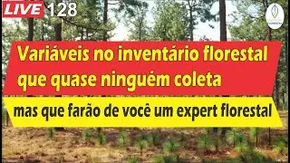 #LIVE 128 - Variáveis no inventário florestal que te farão um expert florestal