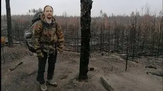По следам НИЖЕГОРОДСКИХ ЛЕСНЫХ ПОЖАРОВ🔥🔥. Грустные кадры с места событий. ДОРОГУЧА и озеро ШУМСКОЕ.