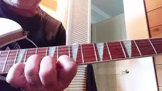 12 String Guitar