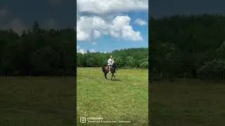 конюшня "старая ферма"