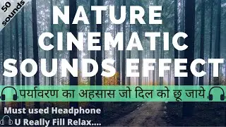50 FREE Ambient Nature Cinematic Sounds Effect❤️ | Relaxing Music | Cinematic Sound Effects | Nature