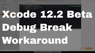Xcode 12.2 Beta, Running App Causes a Debug Break - The Workaround.