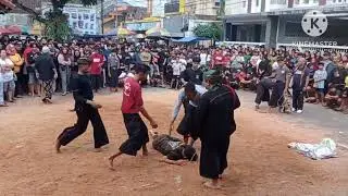 KESENIAN KSR SINGO REJO  DI ACARA 7 BULANAN BIKIN GEGER HEBOH PENONTON