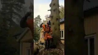 Лесоруб 80 lvl